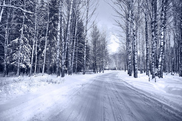 Winter road in snowy forest landscape