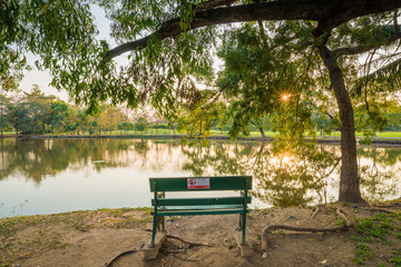 Park Bench in the evening light