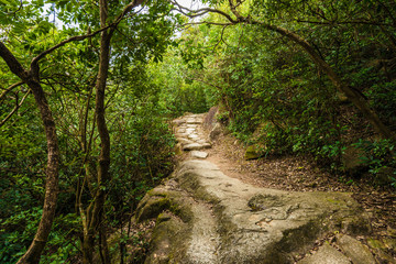 Beautiful scenic hiking trail in the park at Hongkong