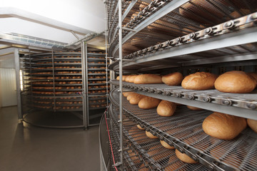 Bread bakery
