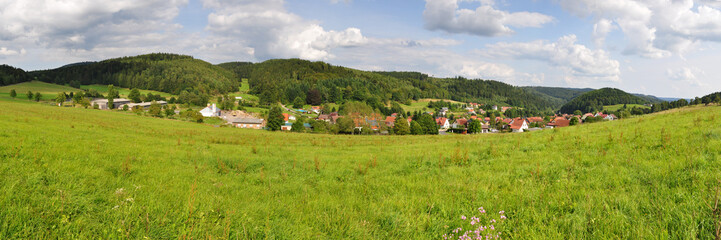 Fototapeta na wymiar Bermbach / Thüringer Wald
