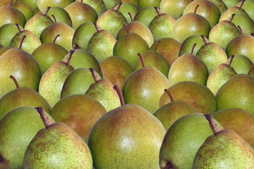 poires rangées