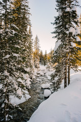 Fototapeta na wymiar Creek in snowy forest