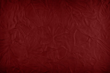 Fototapeta premium red leather