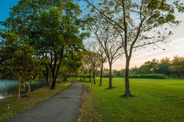Fototapeta na wymiar Green lawn in city park under sunny light