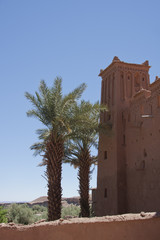 Obraz premium Kasbah edificio e palme