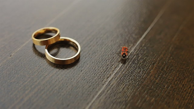 wedding golden rings with bug crosses the path close up