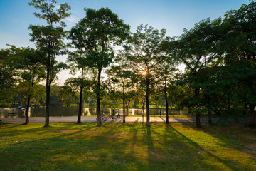 Beautiful evening light in public park