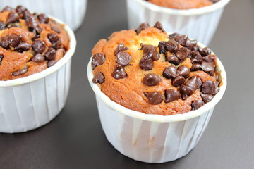 photo of a chocolate chip muffin.