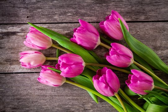 bouquet of purple tulips on a wooden background