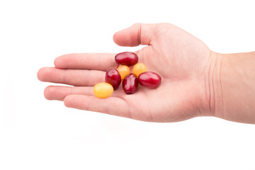 Fototapete bei efototapeten.de bestellen   