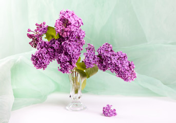 Still life with purple lilac in vase