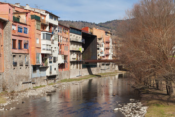Obraz premium River Ter through Ripoll