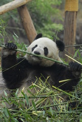 포토시리즈(해외여행)