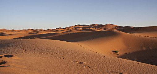 Fototapeta na wymiar Deserto Sahara - Dune