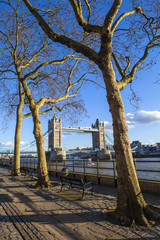 View of Tower Bridge along the Thames Path in London