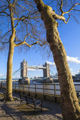 View of Tower Bridge from the Thames Path in London