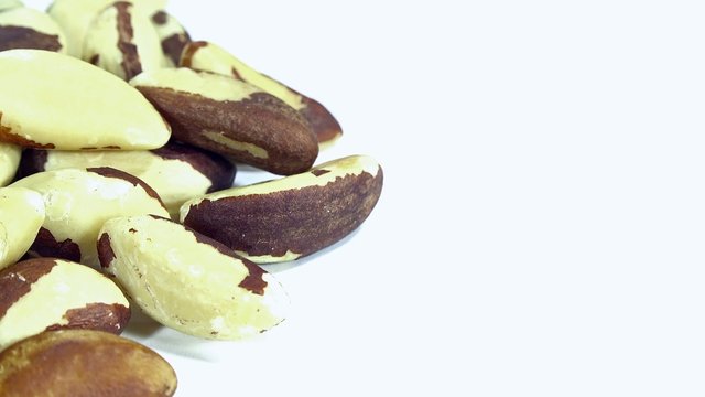 Brazil Nuts (seamless loopable)