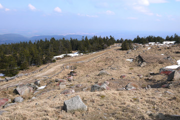 Baumgrenze Brocken