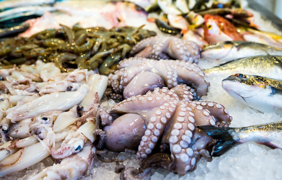 Mediterranean octopus and other seafood in the Greek market