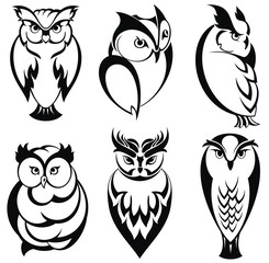 Isolated owl birds in tattoo style