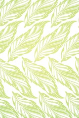 Seamless pattern with feathers