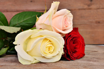 Three colorful roses on a wooden background