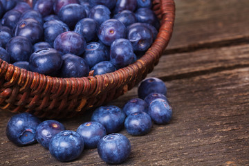 Heidelbeeren, Blaubeeren