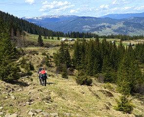 Mountain Carpathian landscape