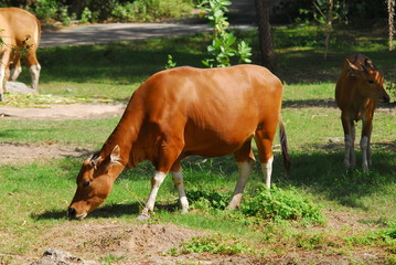 포토시리즈(해외여행)