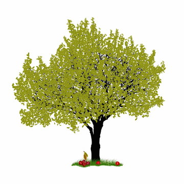 Vector - cherry tree on white background
