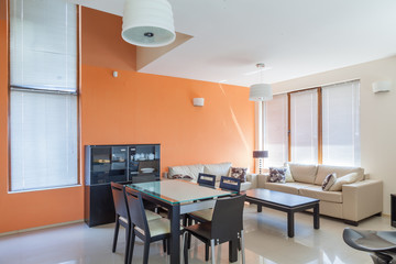 modern living room. interior