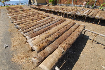 포토시리즈(해외여행)