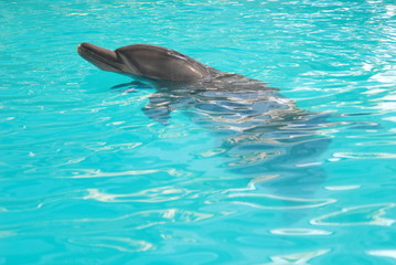 Naklejka premium 포토시리즈(해외여행)