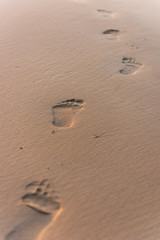 Fototapeta na wymiar Human footprint on beach sand