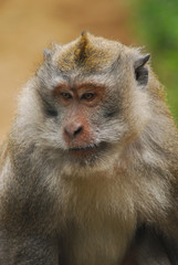 포토시리즈(해외여행)