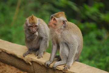 포토시리즈(해외여행)