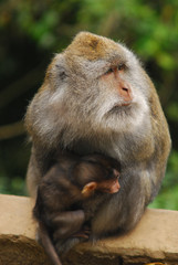 포토시리즈(해외여행)