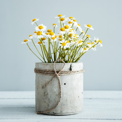 Bouquet of daisy-chamomile flowers in the morning