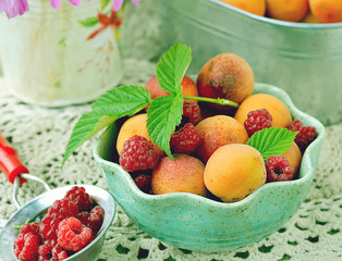 apricot fruits