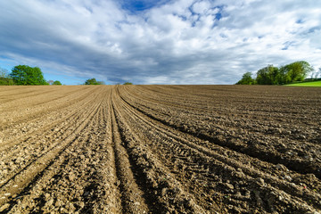 Field in spring, ready for sowing