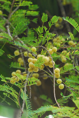포토시리즈(해외여행)