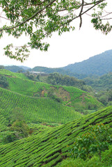 포토시리즈(해외여행)