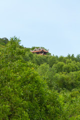 temple in the jungle