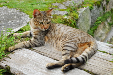 포토시리즈(해외여행)