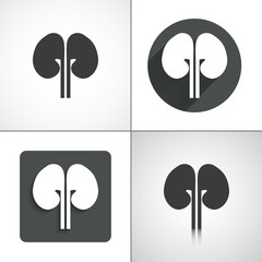 Kidney icons. Set elements for design. Vector illustration.