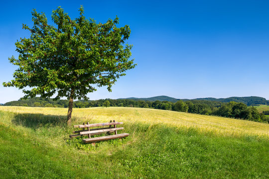 Gr&uuml;ne Landschaft im Odenwald