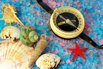 Fototapeta na wymiar Shells, star and tourist compass on sea salt