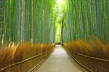 Peel and stick wall murals Bamboo bamboo groove