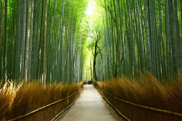 Selbstklebende Fototapete Bambus Bambusrille